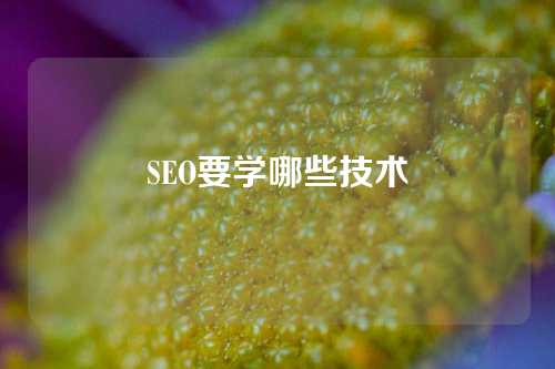 SEO要学哪些技术