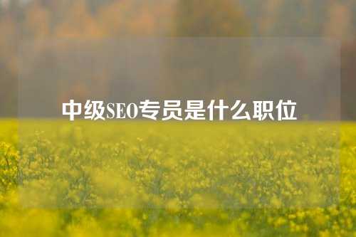 中级SEO专员是什么职位