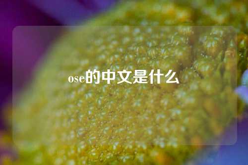 ose的中文是什么