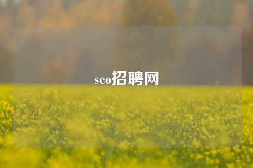 seo招聘网