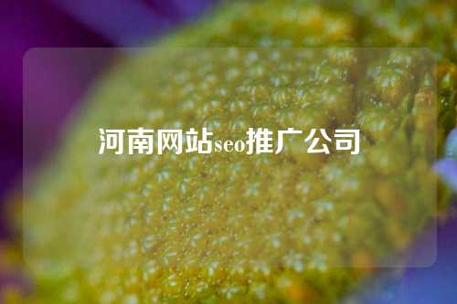 河南网站seo推广公司