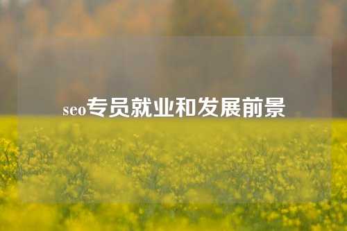 seo专员就业和发展前景