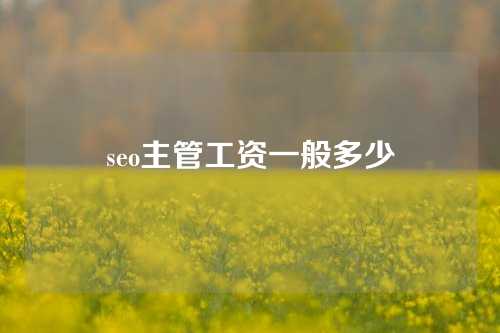 seo主管工资一般多少