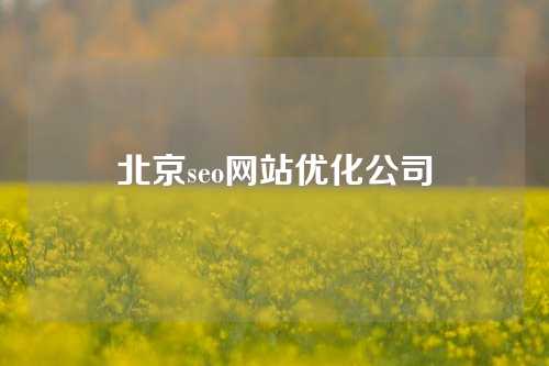 北京seo网站优化公司