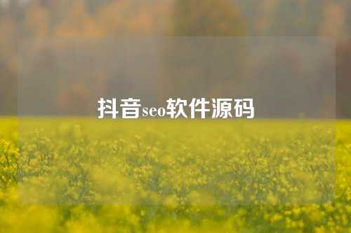 抖音seo软件源码