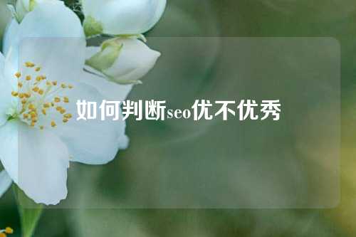 如何判断seo优不优秀