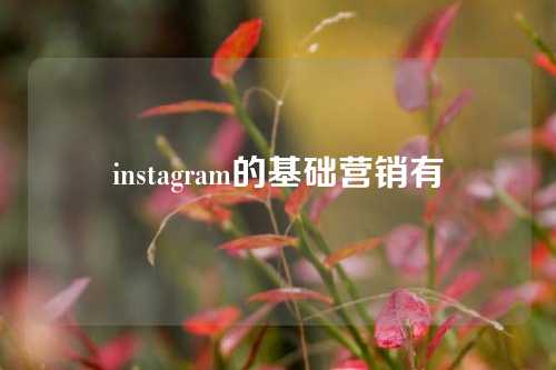 instagram的基础营销有