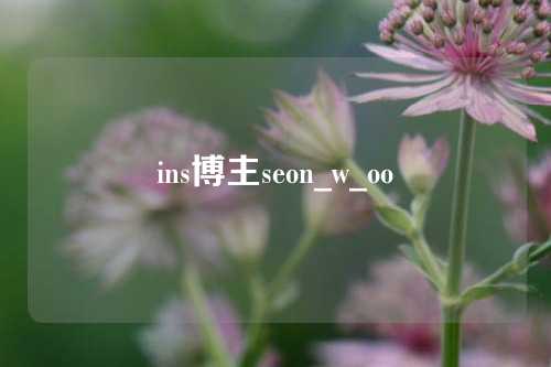 ins博主seon_w_oo