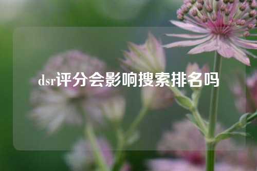 dsr评分会影响搜索排名吗