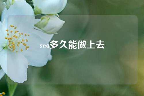 seo多久能做上去