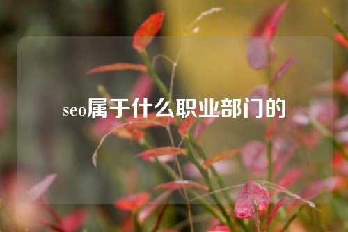 seo属于什么职业部门的