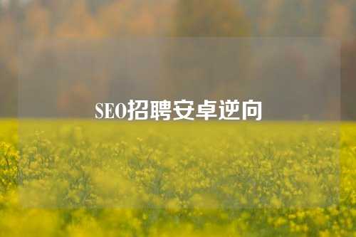 SEO招聘安卓逆向