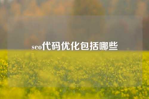 seo代码优化包括哪些