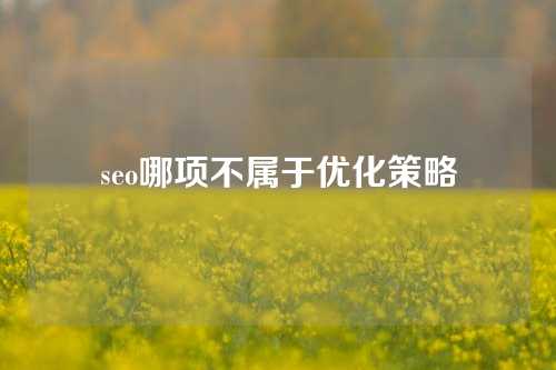 seo哪项不属于优化策略