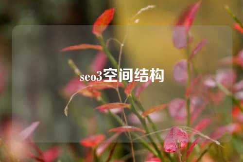 seo3空间结构