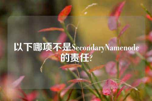 以下哪项不是SecondaryNamenode的责任?