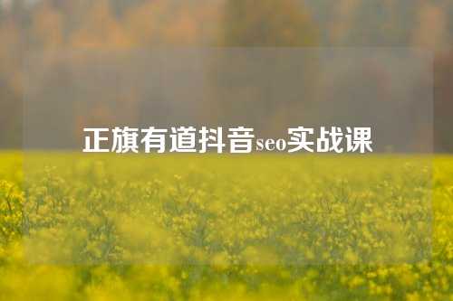 正旗有道抖音seo实战课