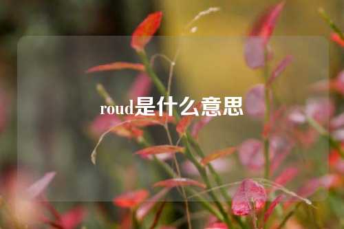 roud是什么意思