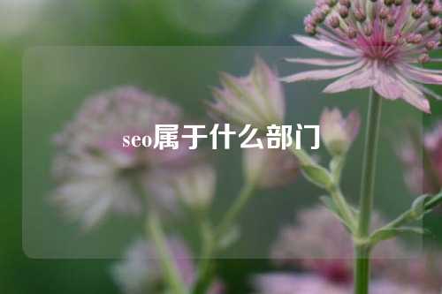 seo属于什么部门