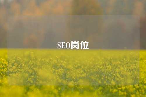 SEO岗位