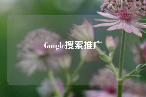 Google搜索推广