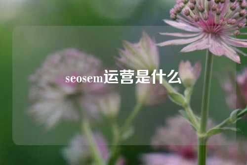 seosem运营是什么