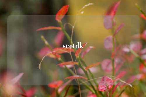 seotdk