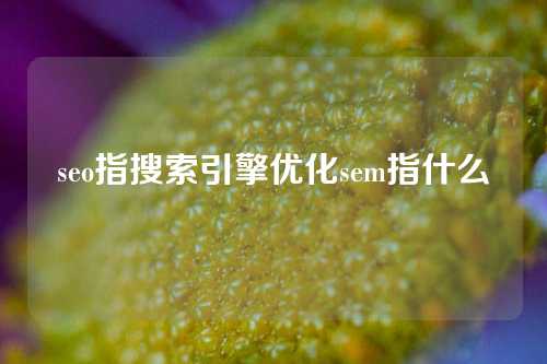 seo指搜索引擎优化sem指什么