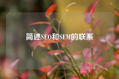 简述SEO和SEM的联系