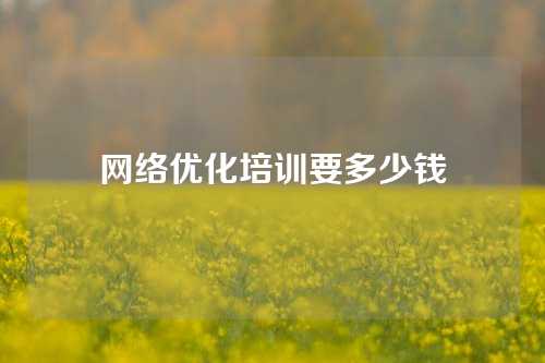 网络优化培训要多少钱