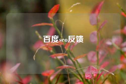 百度seo反馈