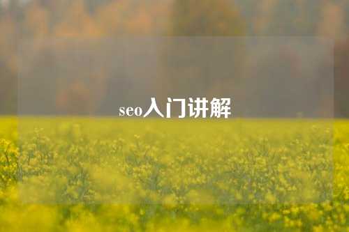 seo入门讲解