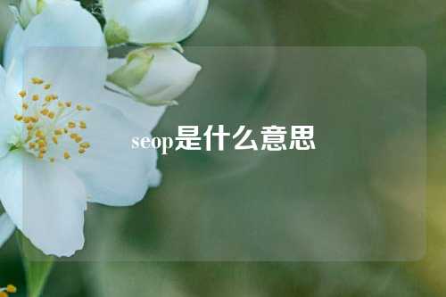 seop是什么意思