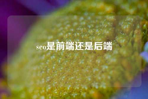 seo是前端还是后端