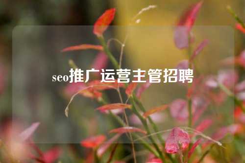 seo推广运营主管招聘