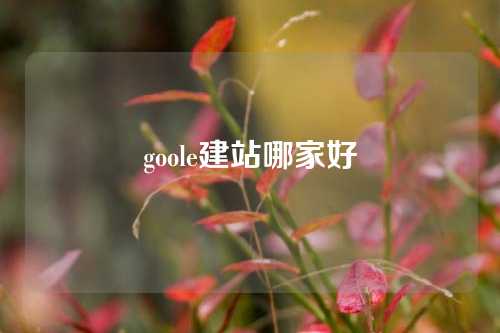 goole建站哪家好