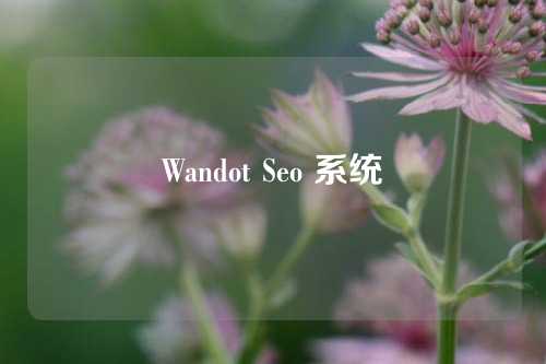 Wandot Seo 系统