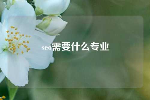 seo需要什么专业