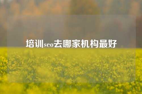 培训seo去哪家机构最好