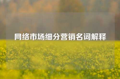 网络市场细分营销名词解释