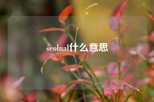 seolnal什么意思