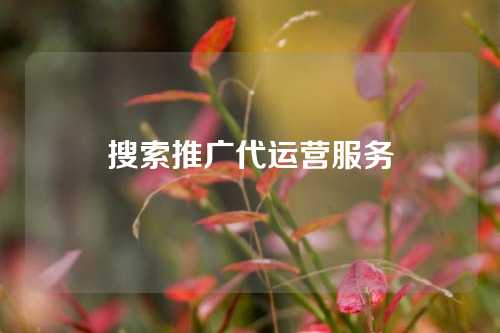 搜索推广代运营服务