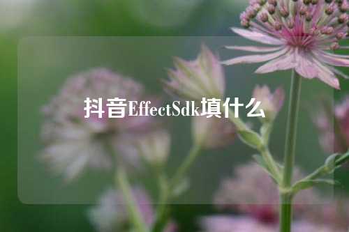 抖音EffectSdk填什么