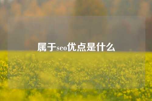 属于seo优点是什么