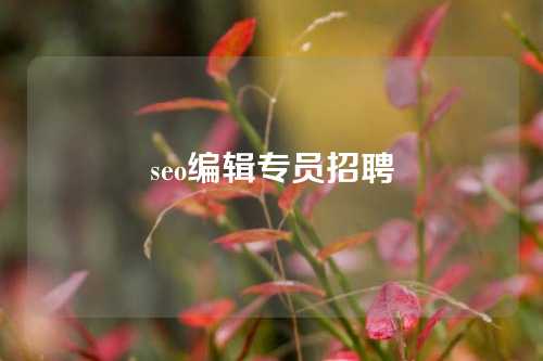 seo编辑专员招聘