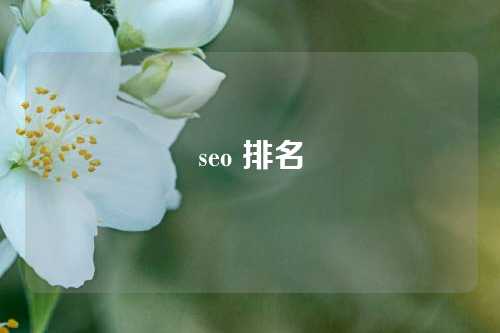 seo 排名