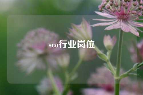 seo行业岗位