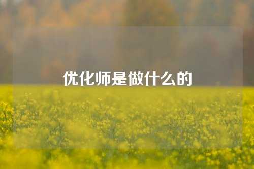 优化师是做什么的