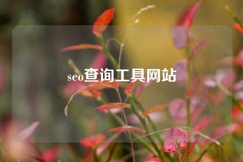 seo查询工具网站