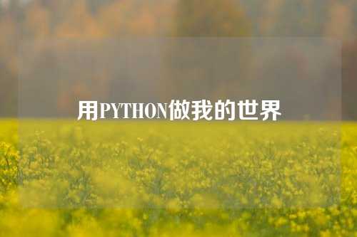 用PYTHON做我的世界